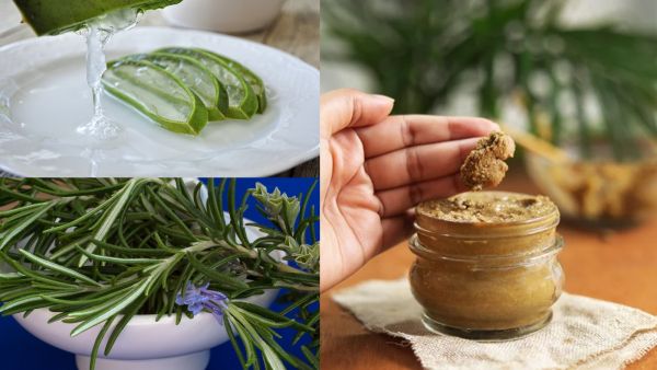 اصنعيه بنفسك: قناع أكليل الجبل العشبي لنمو أسرع للشعر