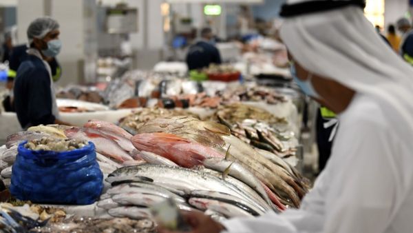 A picture taken on October 7, 2020, shows Dubai's fish market, which is considered one of the most important in the region.  Karim SAHIB / AFP