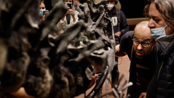 Remains of the Allosaurus have also been discovered in Portugal and the dinosaur is believed to have roamed Tanzania (AFP)