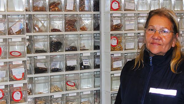 Nardane Kuscu (Twitter)