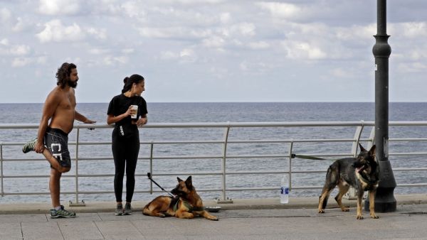 A couple rest during their training with their dogs by the Mediterranean seaside promenade in Lebanon's capital Beirut on November 2, 2020. JOSEPH EID / AFP