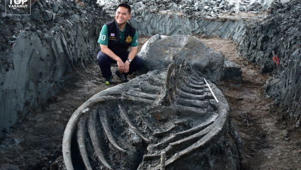 The remains of a whale thought to be 3,000 to 5,000 years old have been found in Thailand. (TOP Varawut/Facebook)