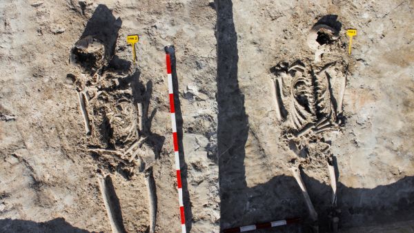 Skeletons in a Roman burial discovered during archaeological excavations of Roman Necropolis. (Shutterstock/ File Photo)