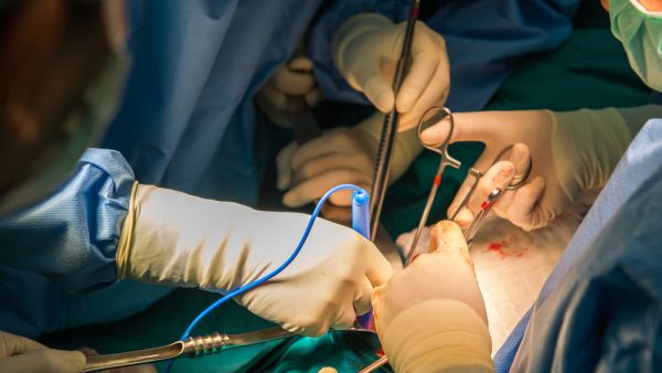 (Shutterstock/ File Photo)