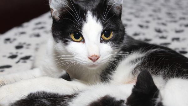 (Shutterstock/ File Photo)