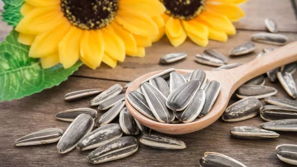 تساعد البذور على استرخاء الأعصاب، من خلال منع تراكم الكالسيوم داخل الأعصاب