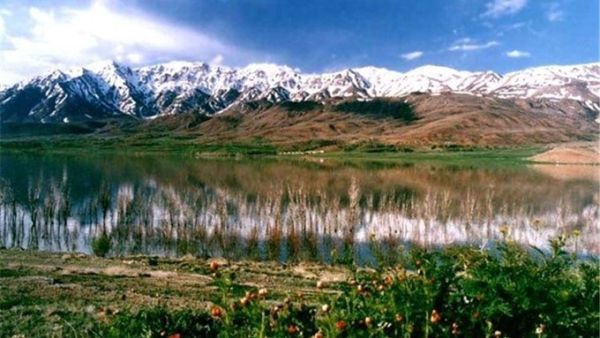  Gandoman wetland  (Twitter)