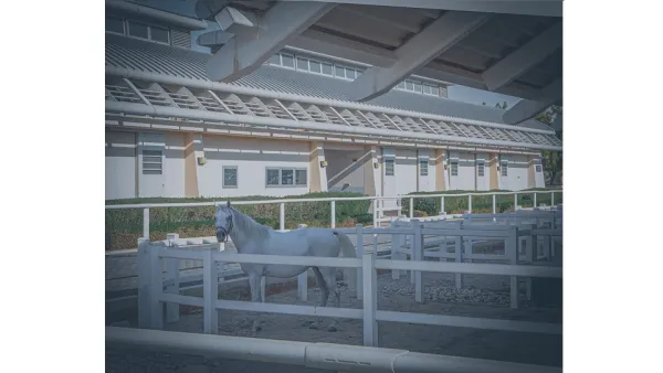 QF’s Equine Veterinary Medical Center To Oversee Local Animal Research