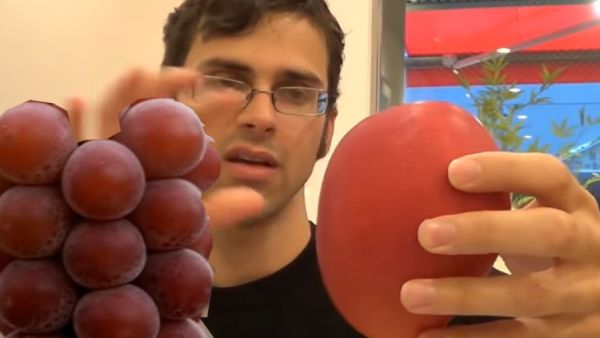 فواكه باسعار خيالية