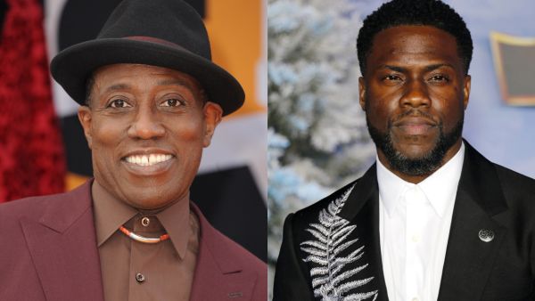 Newman will write and executive produce the eight-part series