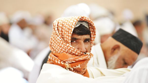 (Shutterstock)	  (Shutterstock)