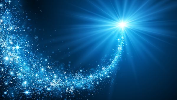 Christmas star  (Shutterstock)	