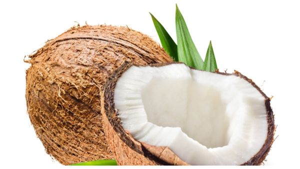 جوز الهند