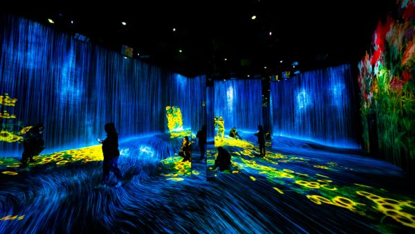 Exhibition room at Epson TeamLab Borderless, Huangpu District. (Shutterstock/ File Photo)
