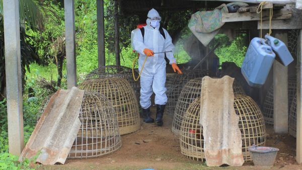 (Shutterstock/ File Photo)