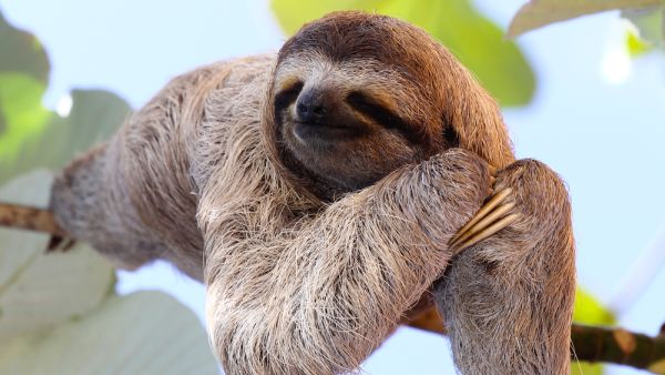 (Shutterstock/ File Photo)