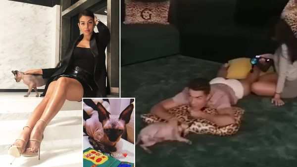 جورجينا رودريغيز والقط بيبي