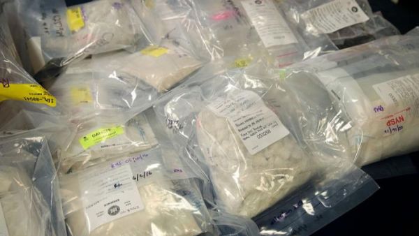 أكبر كمية تهريب مخدرات يجري ضبطها في هولندا هذا الشهر