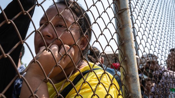 (Shutterstock)	 (Shutterstock)