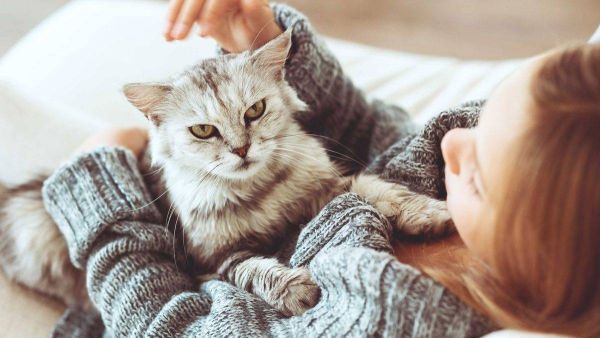 التعرض لوبر وجلد هذه الحيوانات الأليفة يزيد من مقاومة المواد المسببة للحساسية