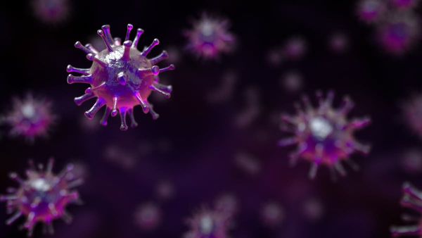 فيروس كورونا