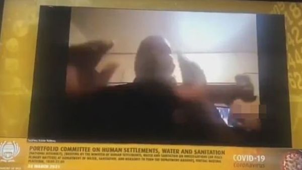 A shocked colleague on the Zoom call an be heard crying out: 'Inkosi, people behind you are not properly dressed. We are seeing everything'