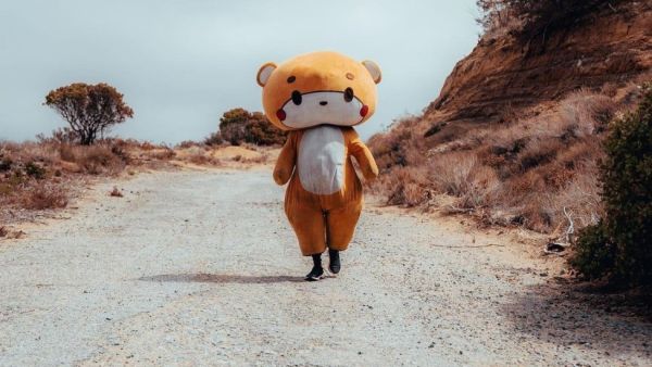 الدبدوب Bearsun