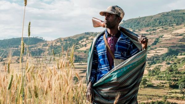 Eritrean forces are still in Tigray region