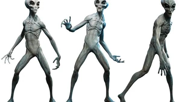 Grey aliens 