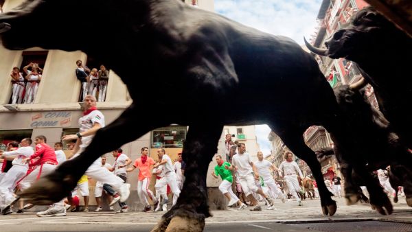 Bulls and people but not this year! 