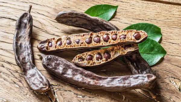 تكوِّن قرون الخروب المجففة والمحمصة بعد طحنها بودرة مثل بودرة الكاكاو