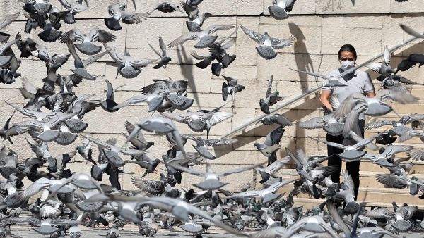 Turkey to ease covid-19 restrictions starting tomorrow