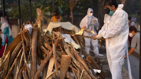 كورونا في الهند