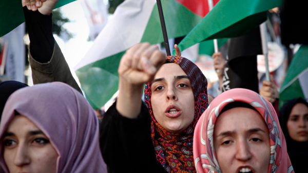 Pro-Palestinian activists