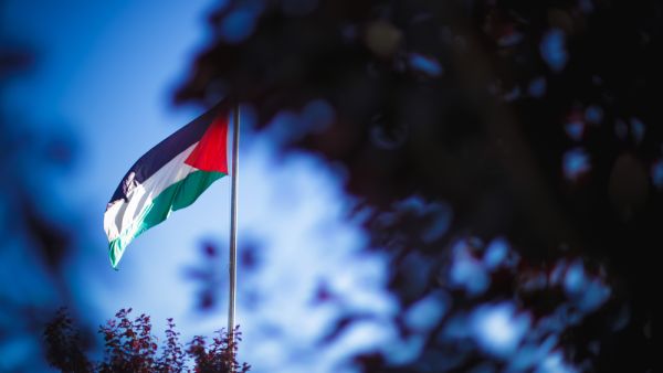 Palestinian flag 