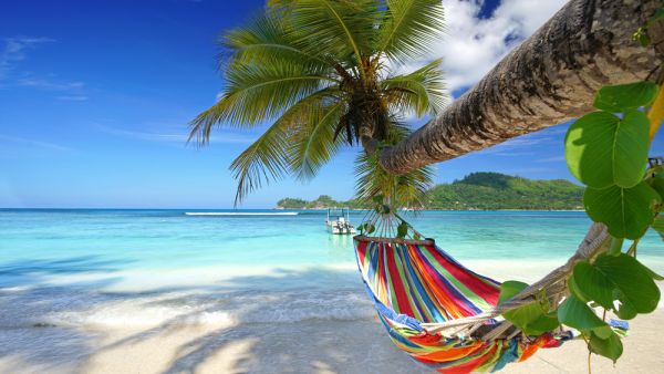 Romantic cozy hammock in the shadow of the palm on the tropical beach by the sea