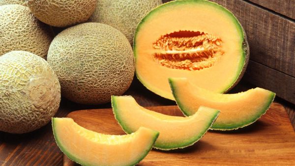 احتواء الشمام على مضادات الأكسدة القوية يلعب دور مهم في الحفاظ على الخلايا 