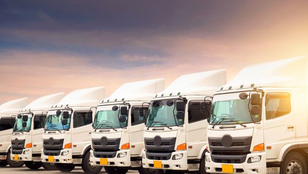 How has your fleet been impacted by the Pandemic and what is the longer-term impact? AXA Gulf Offers Advice To Businesses As UAE Traffic Volumes Return To Pre-pandemic Levels