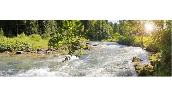 Waterpledge. Nestlé Waters Targets Positive Water Impact By Regenerating Local Water Cycles
