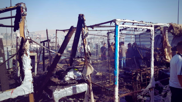 Sharya camp fire