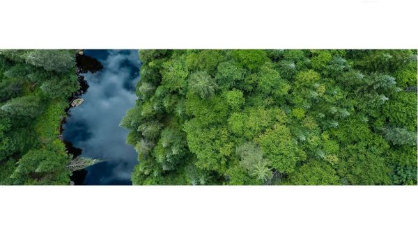 Nestlé Moves Beyond Forest Protection To A Forest Positive Strategy And Boosts Its Use Of Satellite Services
