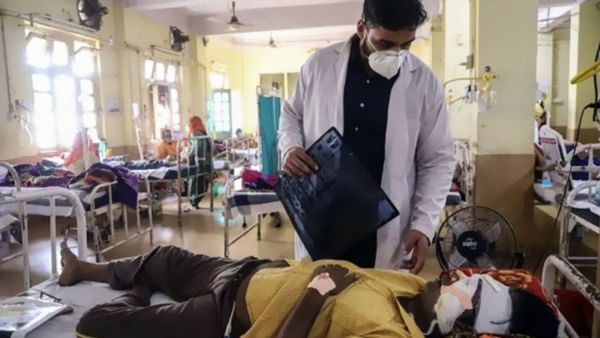 الفطر الأسود