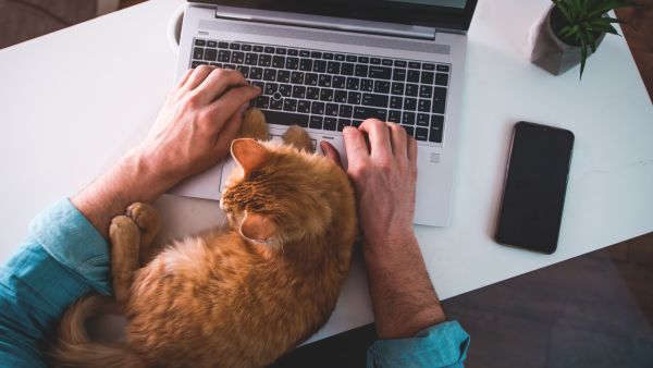 remote work