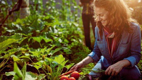 ‘Green Rooftops’