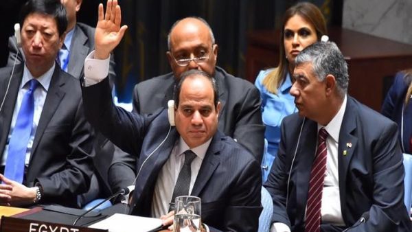 مصر في مجلس الأمن: لا تسقطوا غصن الزيتون