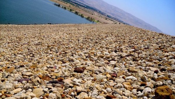 صدمه في الأردن عقب وفاة 4 أطفال أشقاء غرقا