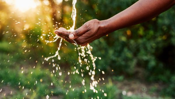 Schneider Electric Sustainability. Schneider Electric Launches Sustainability Consulting Services to Support Drive for Net Zero Carbon and Improve Resource Efficiencies