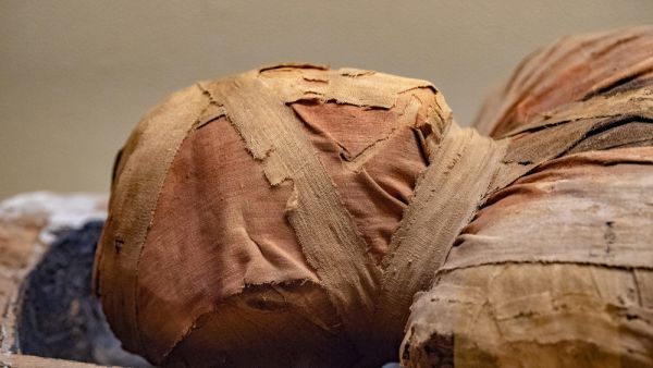 Egyptian mummy