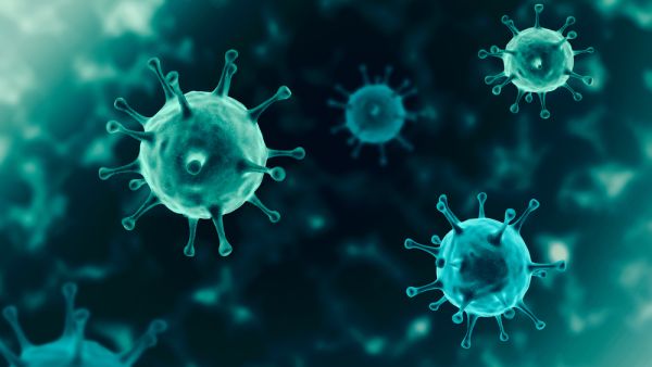organism illustration, virus seen micro