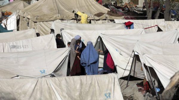 Governments Should Suspend Deportations, Forced Returns  
